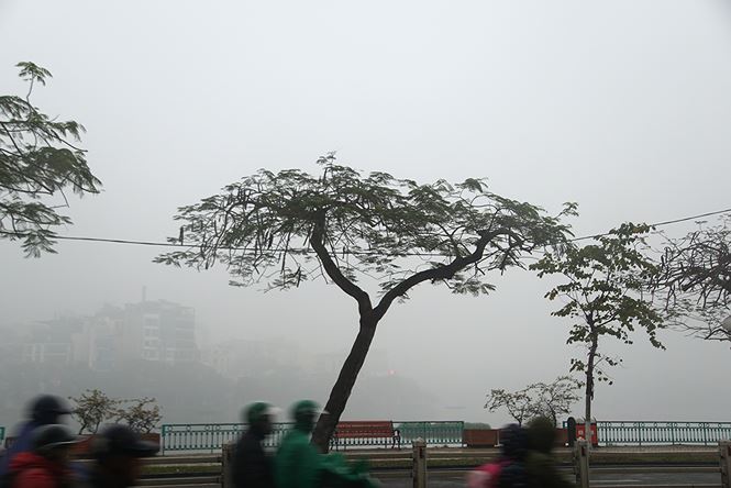 Hà Nội chìm trong sương mù và nồm ẩm